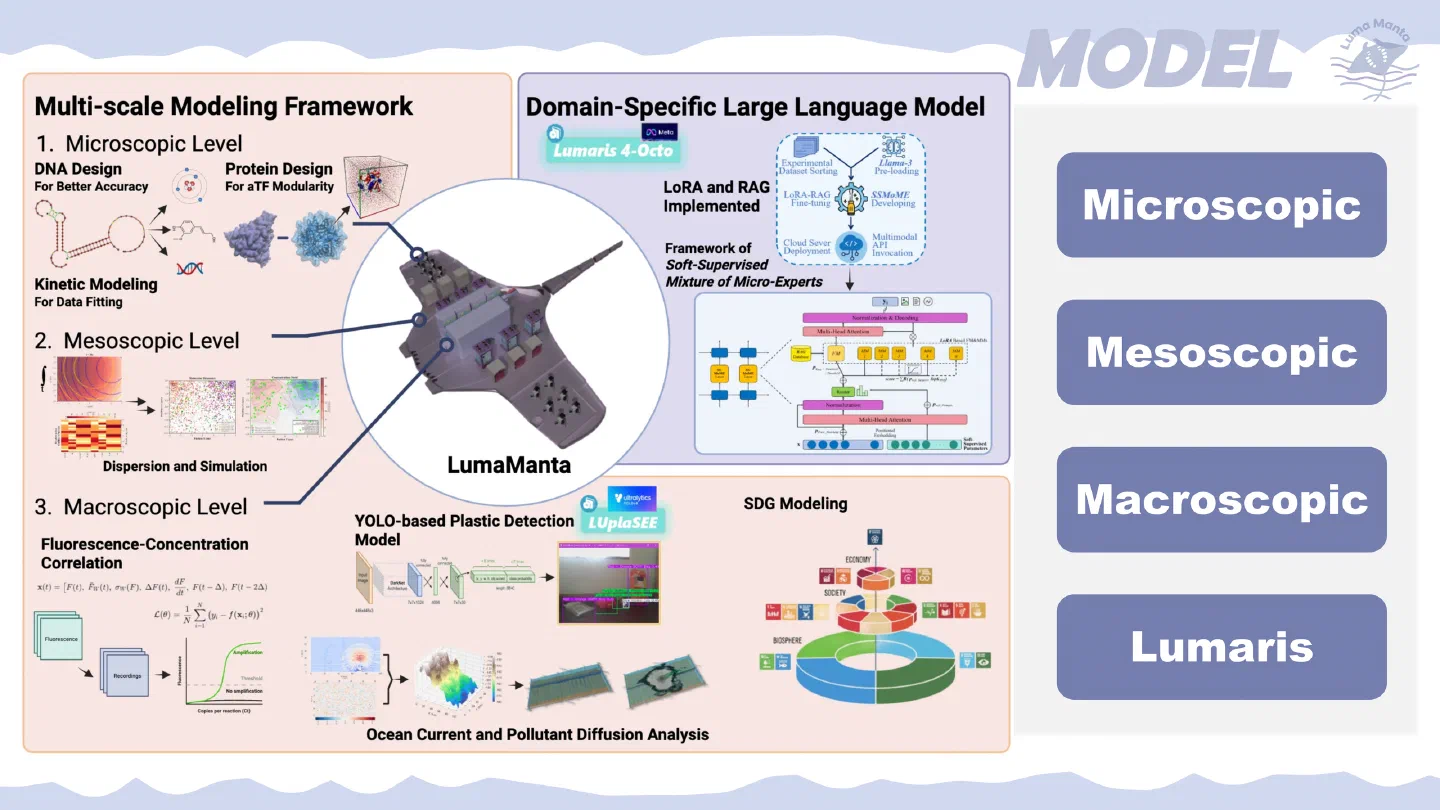Model design.