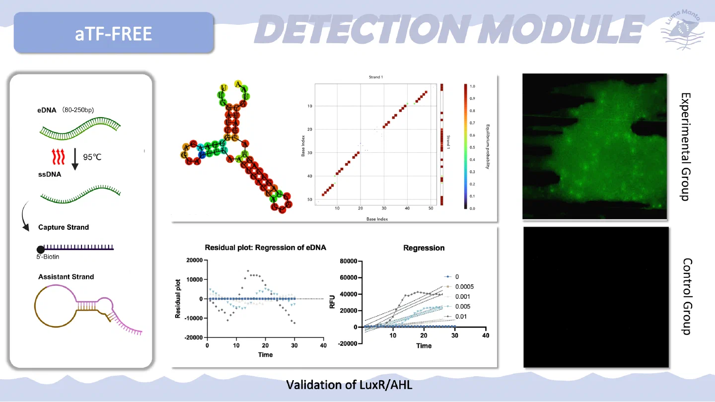 Detection model results.