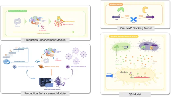 A Sustainable Pigment Biosynthesis System